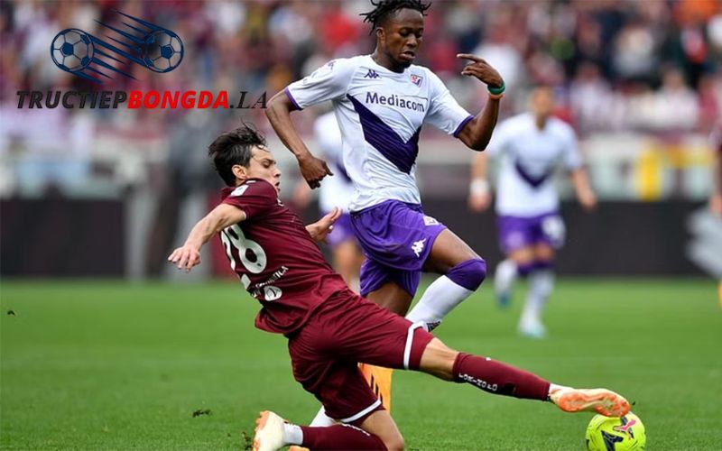 Đội hình ra sân của CLB Torino trong mùa giải 2024/2025